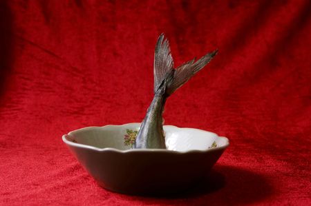 Fish tail on isolated background の写真素材