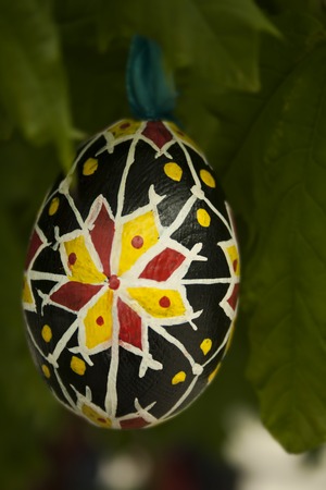 Painted Easter eggの写真素材
