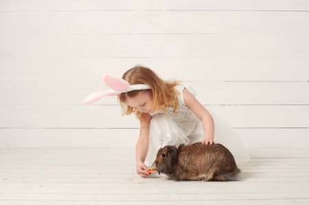 Cute little child girl wearing bunny ears on Easter day. Girl hunts for Easter eggs on the lawn. Girl with Easter eggs and bunny in the rays of the setting sun.の写真素材