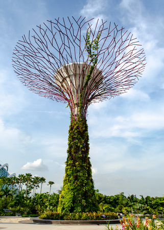 Single super-tree in the Gardens by the Bay in Singapore against the sky with clouds. Vertical layout. Single itemのeditorial素材