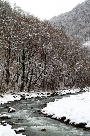Mountain river in the valley. Shores covered with snow. Green water and stones. Trees without leaves in winterの写真素材