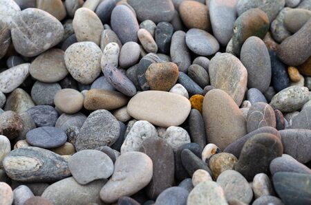 Pebbles on the beach: gray, white and purple stones. Focus in the center of the frame