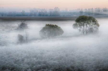 autumn morningの写真素材