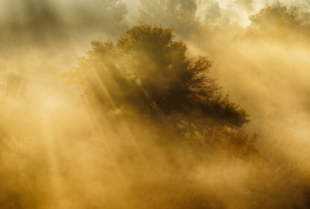 autumn morningの写真素材
