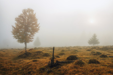 autumn morningの写真素材