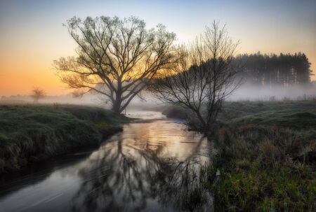 spring morning. a picturesque dawn by the riverの写真素材