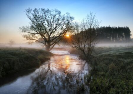 spring morning. a picturesque dawn by the riverの写真素材