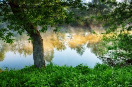 spring morning. a picturesque dawn by the riverの写真素材