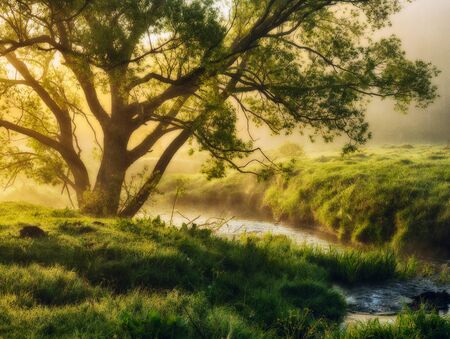 spring morning. a picturesque dawn by the riverの写真素材
