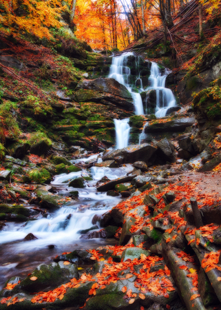 waterfall. a picturesque stream in the Carpathian Mountainsの写真素材