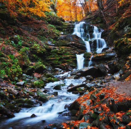 waterfall. a picturesque stream in the Carpathian Mountainsの写真素材