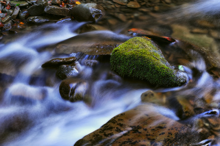 waterfall. a picturesque stream in the Carpathian Mountainsの写真素材