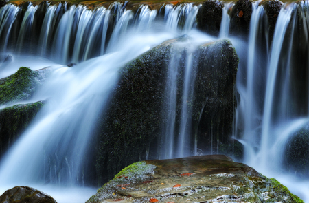 waterfall. a picturesque stream in the Carpathian Mountainsの写真素材