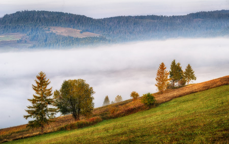 foggy morning. a picturesque autumn morning in the Carpathian Mountainsの写真素材