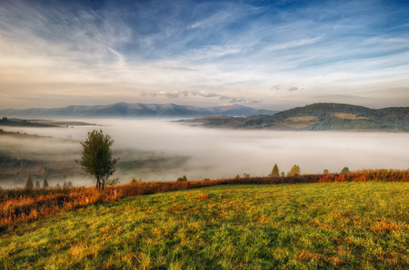 foggy morning. a picturesque autumn morning in the Carpathian Mountainsの写真素材