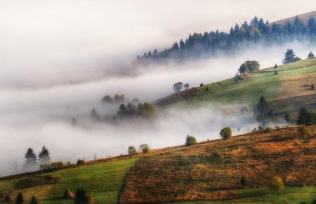 foggy morning. a picturesque autumn morning in the Carpathian Mountainsの写真素材