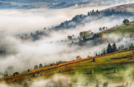 foggy morning. a picturesque autumn morning in the Carpathian Mountainsの写真素材