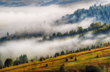 foggy morning. a picturesque autumn morning in the Carpathian Mountainsの写真素材
