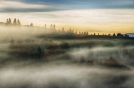 foggy morning. a picturesque autumn morning in the Carpathian Mountainsの写真素材