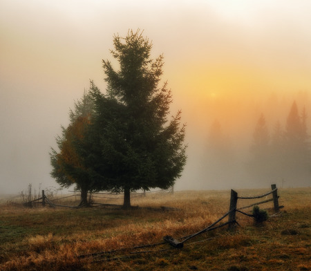 foggy morning. a picturesque autumn morning in the Carpathian Mountainsの写真素材