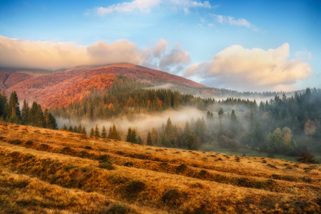 foggy morning. a picturesque autumn morning in the Carpathian Mountainsの写真素材