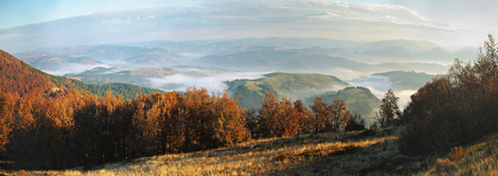 foggy morning. a picturesque autumn morning in the Carpathian Mountainsの写真素材