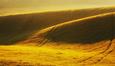 hilly field. picturesque green fieldの写真素材