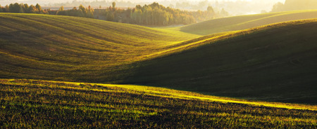 hilly field. picturesque green fieldの写真素材