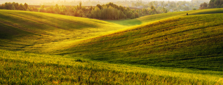 hilly field. picturesque green fieldの写真素材