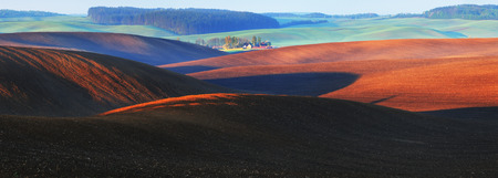 Picturesque hilly field. ranks of agricultural crops on the fieldの写真素材
