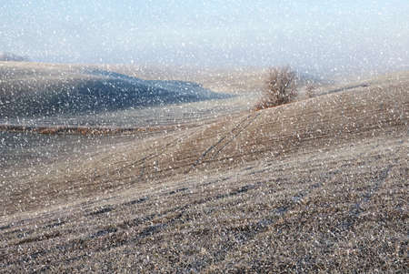 hilly field. picturesque winter sunriseの写真素材