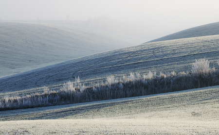 hilly field. picturesque winter sunriseの写真素材