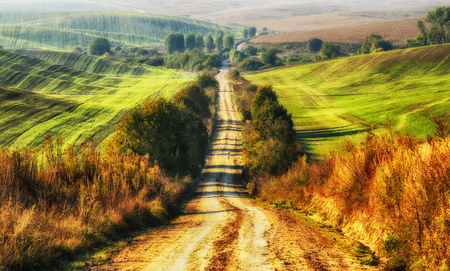 hilly field. picturesque autumn fieldの写真素材