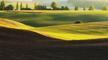 hilly field. picturesque autumn fieldの写真素材