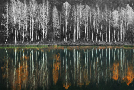 reflection. picturesque reflection of trees in the river. symmetryの写真素材
