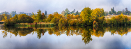 reflection. picturesque reflection of trees in the river. symmetryの写真素材