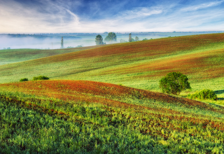 hilly field. spring morning. a beautiful sunrise in the fieldの写真素材