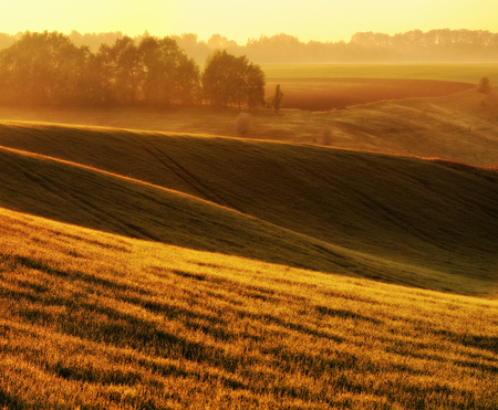 hilly field. spring morning. a beautiful sunrise in the fieldの写真素材