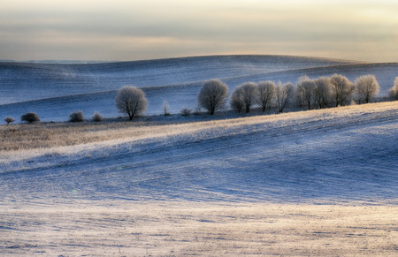 winter field. a picturesque winter morning on a hilly fieldの写真素材