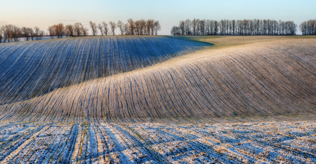 winter field. a picturesque winter morning on a hilly fieldの写真素材