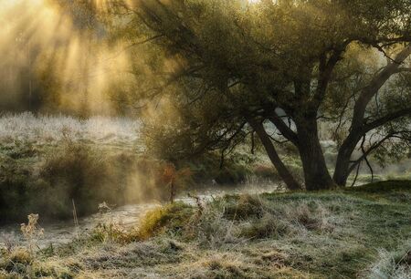 spring morning. a picturesque foggy dawn. Sun raysの写真素材