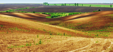 hilly field. picturesque hills of the spring fieldの写真素材