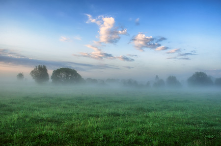 spring morning. a misty dawn in a picturesque meadow. Sun raysの写真素材