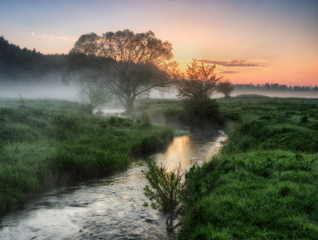 spring morning. a misty dawn in a picturesque meadow. Sun raysの写真素材