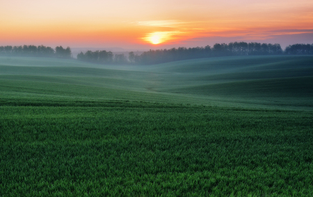 spring field. picturesque hilly field. agricultural field in springの写真素材