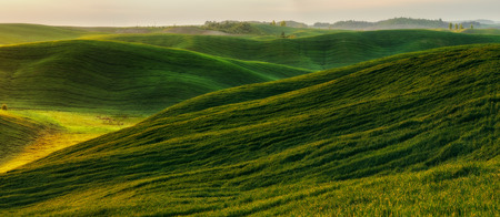 Green field. picturesque hills. beautiful spring fieldの写真素材