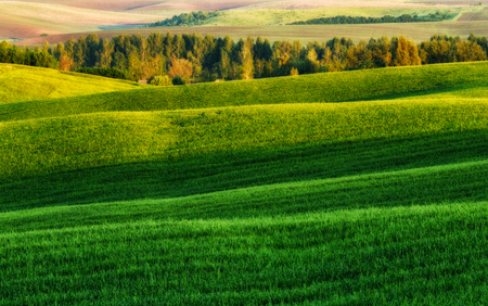 Green field. picturesque hills. beautiful spring fieldの写真素材
