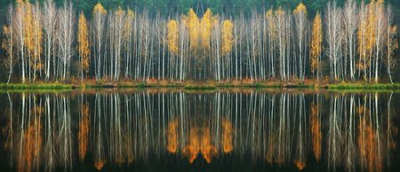 reflection. picturesque reflection of trees in the river. a quiet morningの写真素材