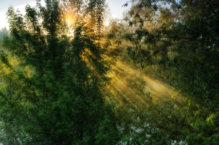 spring morning. dawn near a picturesque riverの写真素材