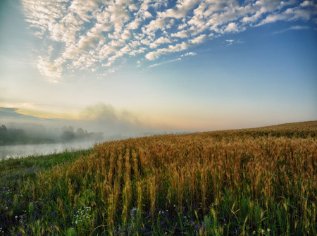 autumn field. the picturesque sky. hilly fieldの写真素材